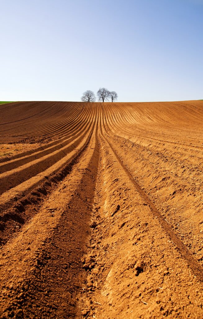 calidad en valoraciones de campos para sembrar agricultura